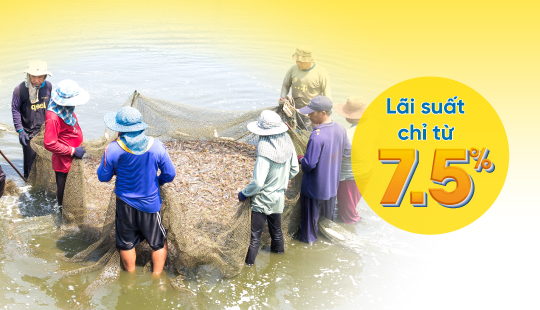 Cho vay nuôi tôm và đại lý phân phối tại Khu vực Miền Tây