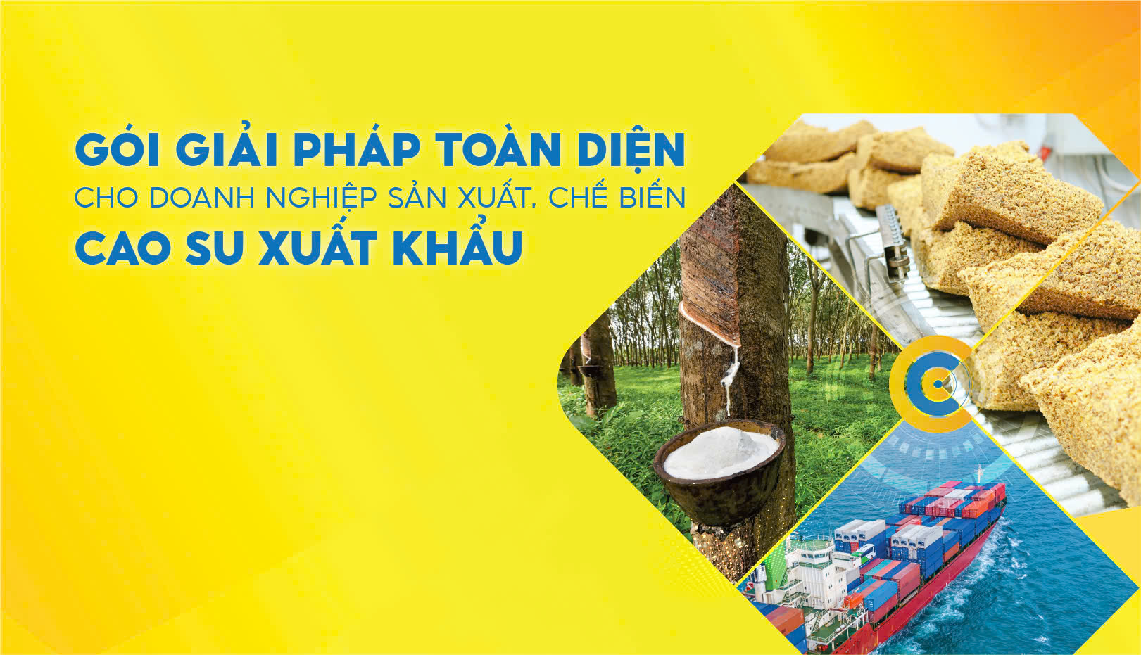 GÓI GIẢI PHÁP TOÀN DIỆN CHO DOANH NGHIỆP SẢN XUẤT CHẾ BIẾN CAO SU XUẤT KHẨU