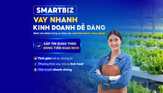 SMARTBIZ – VAY NHANH, KINH DOANH DỄ DÀNG