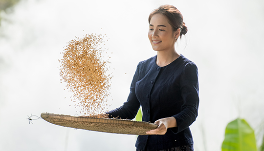 Vay phát triển nông nghiệp, nông thôn